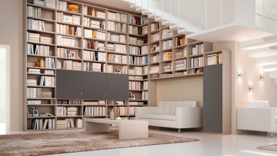Pareti libreria e TV